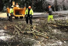Cleaning up tree debris after ice storm