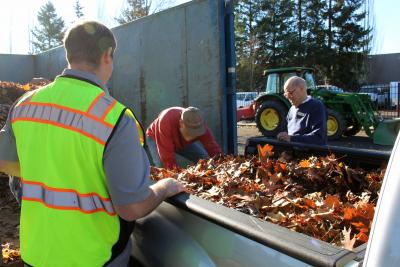 Pickup bed full of leaves backed up to dumpster for clearing