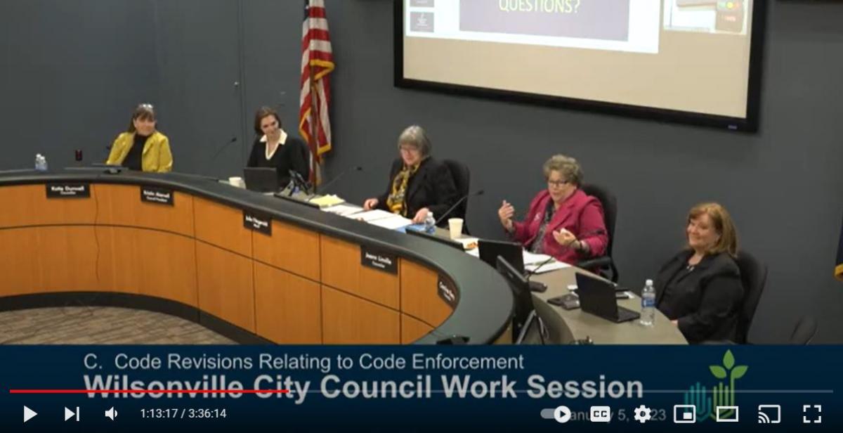 YouTube screen capture of a City Council meeting