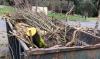 Box of woody debris ready for disposal